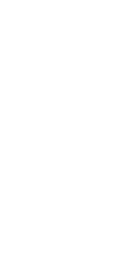 国